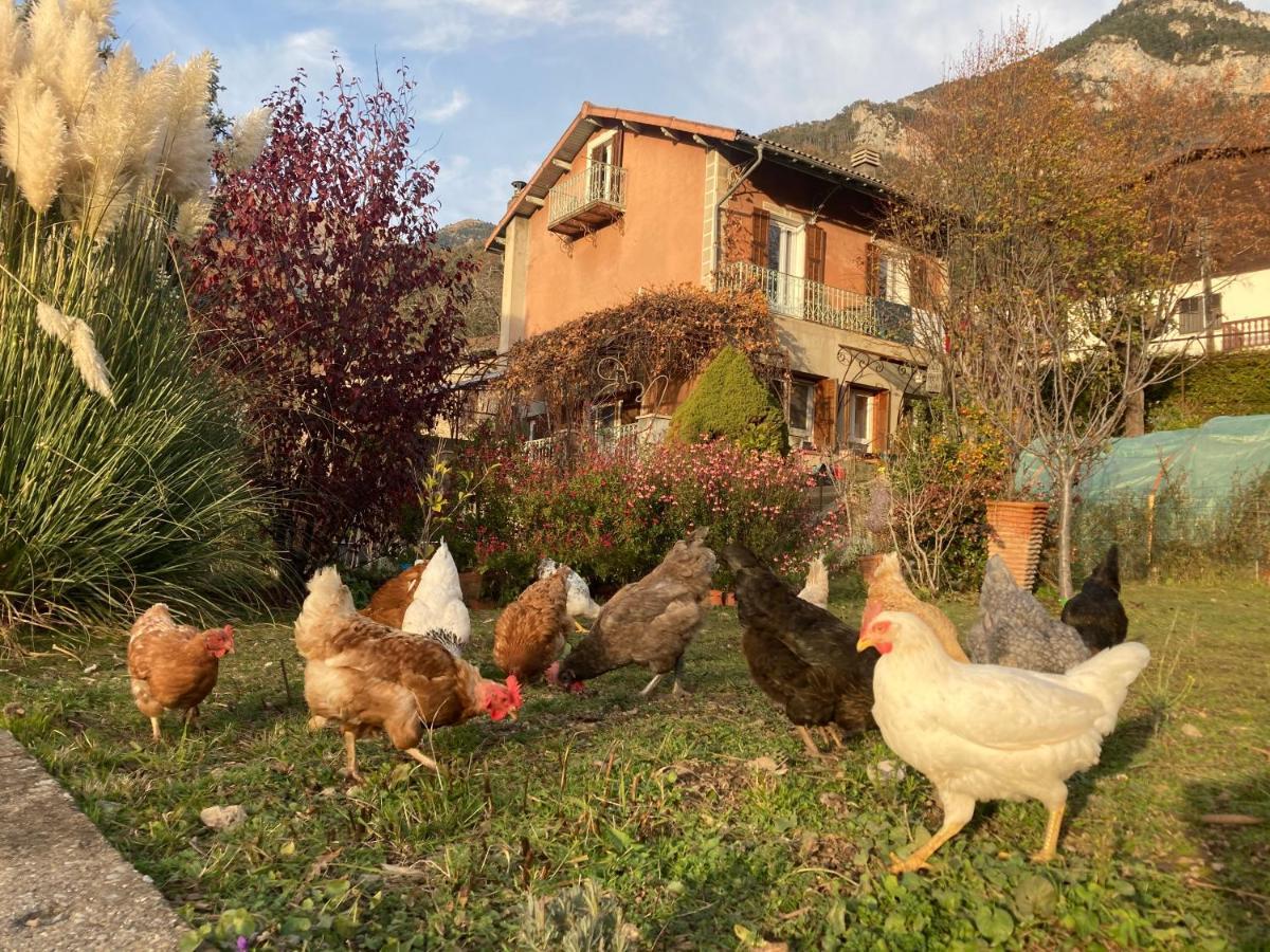 Bed and Breakfast A La Belle Epoque Valdeblore Exterior foto